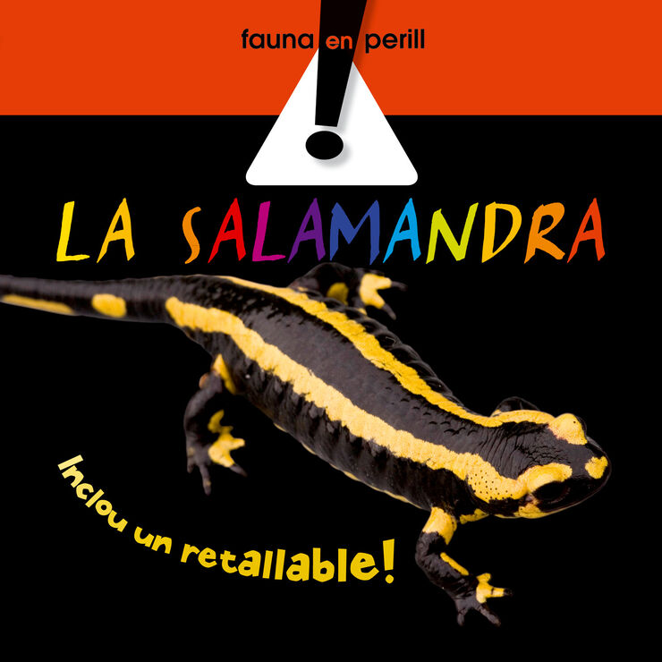 Salamandra, La - cat