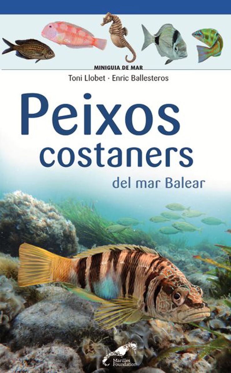 Peixos Costaners Del Mar Balear