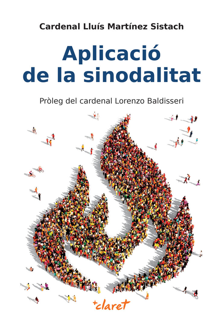 Aplicació de la sinodalitat