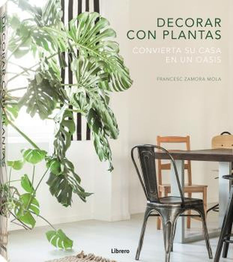 Decorar con plantas