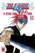 Bleach Bestseller 11. A star and a stray dog