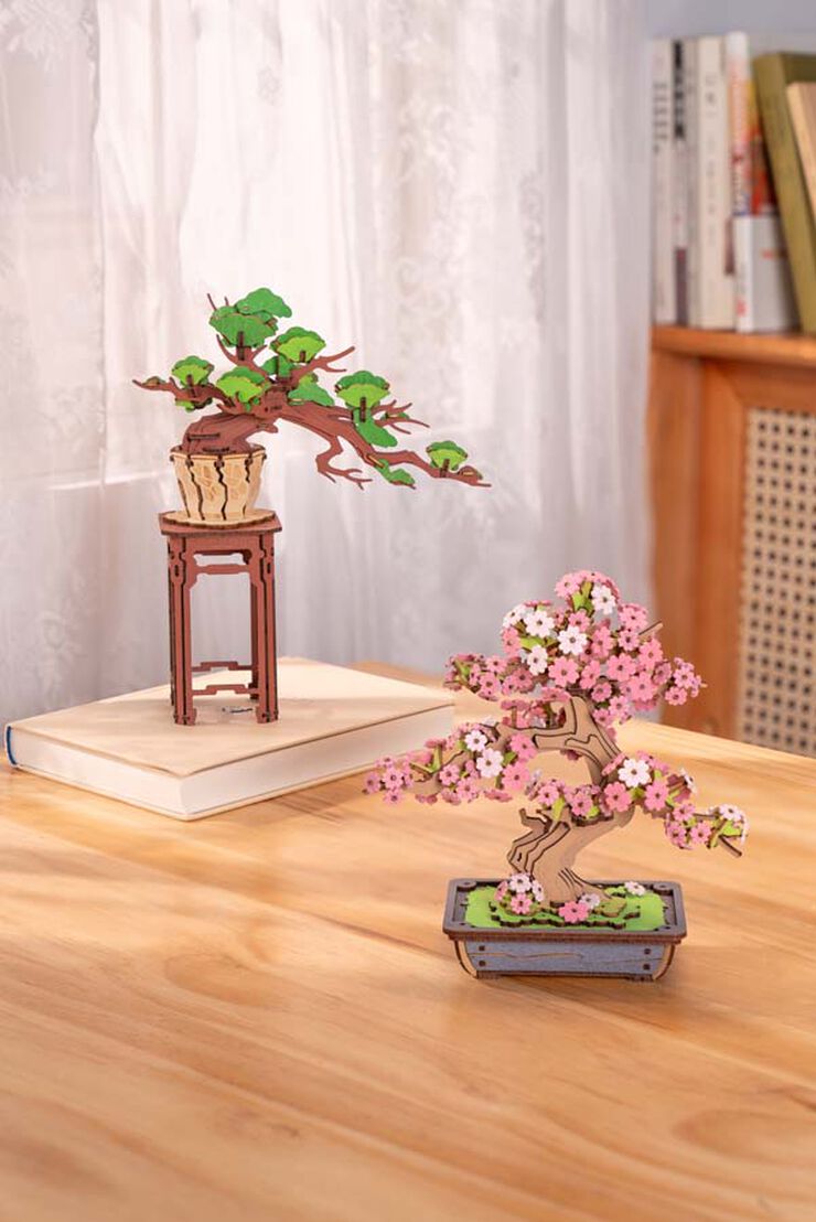 Maqueta Rolife Bonsai Pine