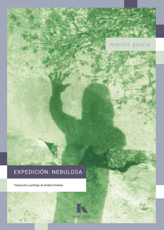Expedici&oacute;n nebulosa