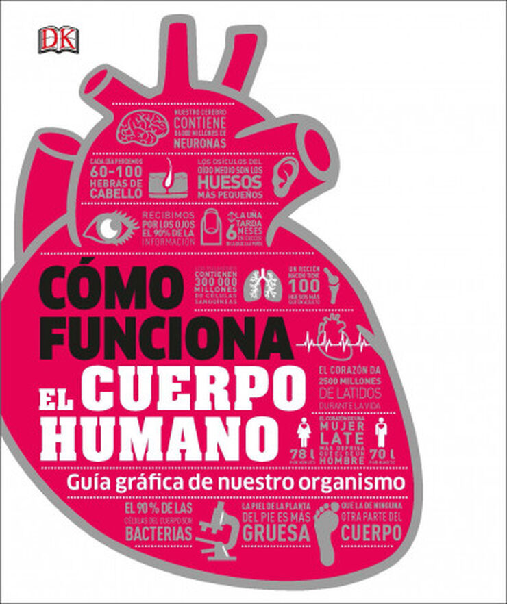 Cómo funciona el cuerpo humano