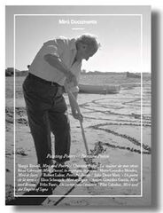 Painting-Poetry/ Peinture-Poésie