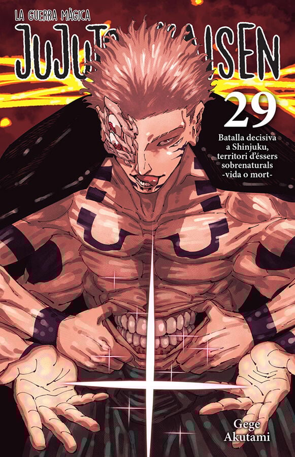 Jujutsu Kaisen 29 catal&agrave;