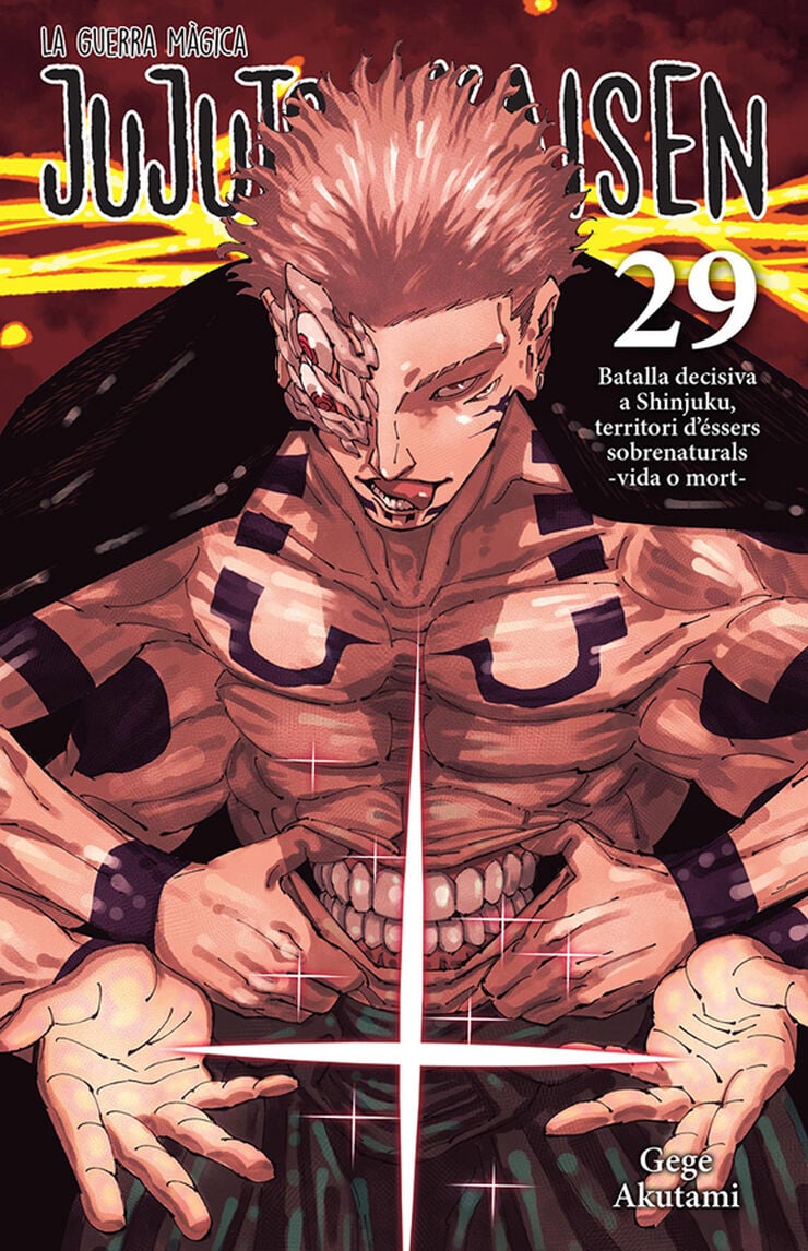 Jujutsu Kaisen 29 catal&agrave;