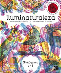 Iluminaturaleza Iluminaturaleza