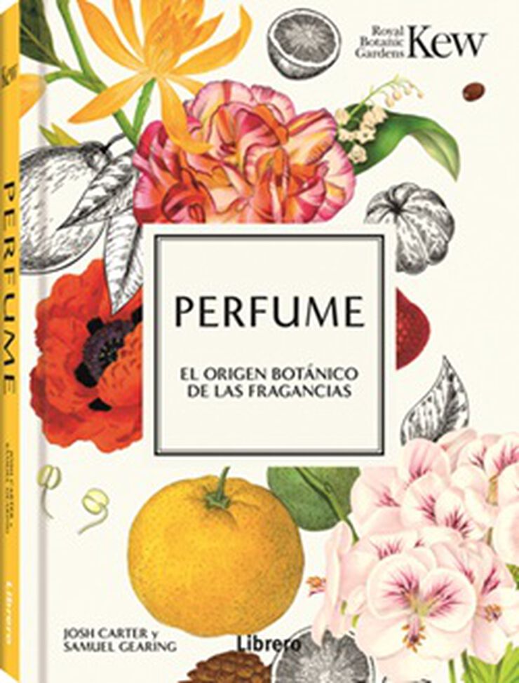 Perfume