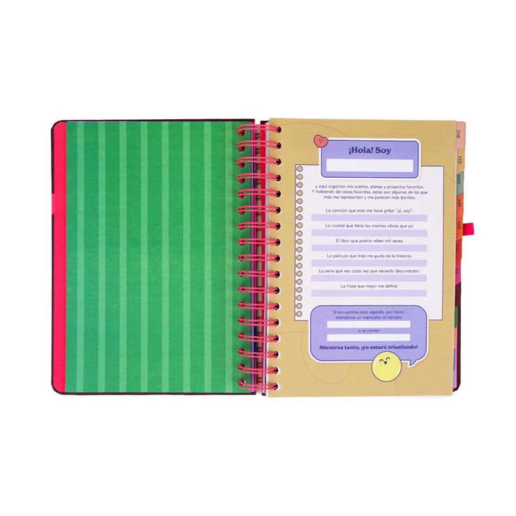Agenda Mr. Wonderful Dia P&agrave;gina Full Aesthetic 2027 Multicolor
