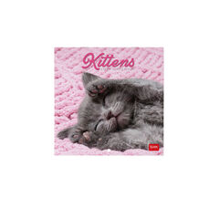 Calendario Legami 18x18 Pared Kittens Multiling&uuml;e 2027