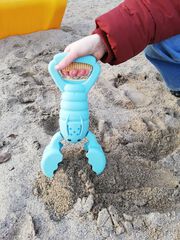 Langosta arena eco surtidas