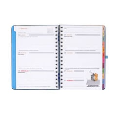 Agenda Mr. Wonderful Semana Vista Castellano Plan De Hoy... 2027