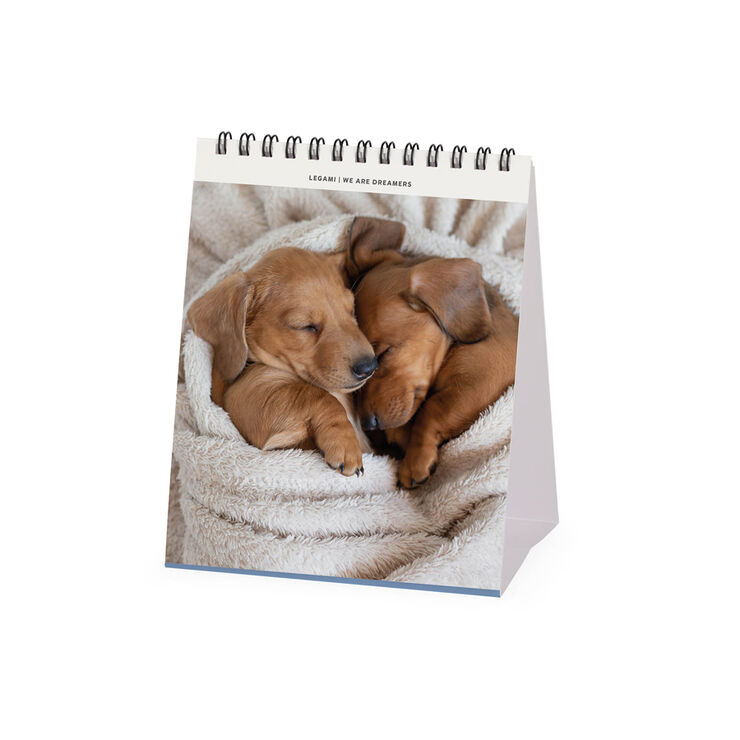 Calendario Legami 12x14,5 Sobremesa Puppies Multiling&uuml;e 2027