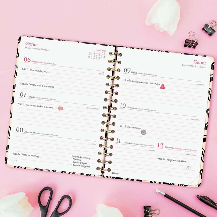 Agenda Finocam You E10 setm/vista h cat 2025 Fulles