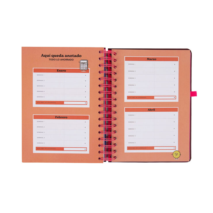 Agenda Mr. Wonderful Dia P&agrave;gina Full Aesthetic 2027 Multicolor