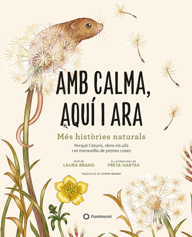 Amb calma, aquí i ara Amb calma, aquí i ara
