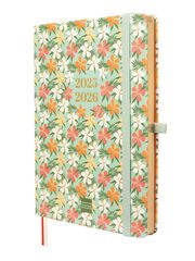 Agenda Finocam 18 meses M5 sem/vista mult 2025-26 daisy