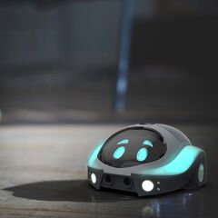 Loti-Bot®