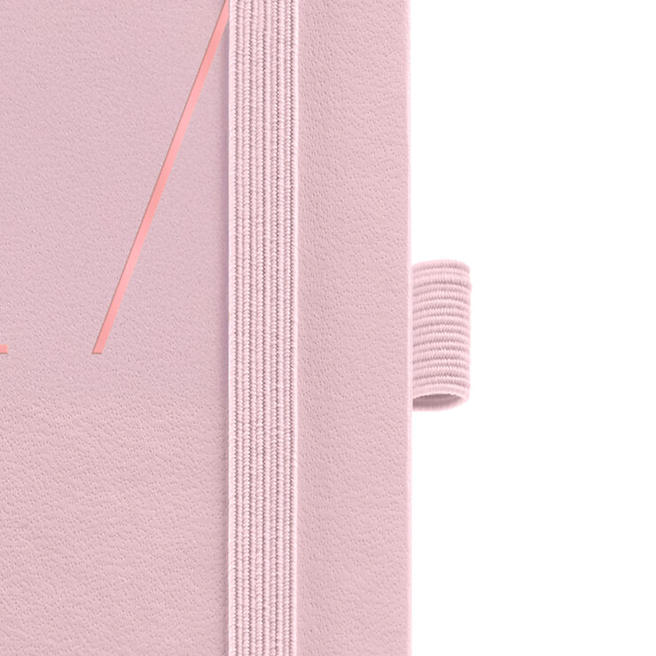 Agenda Miquelrius Passport Dia P&agrave;gina Multiling&uuml;e 2027 Chester Rosa
