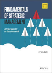 Fundamentals of strategic management