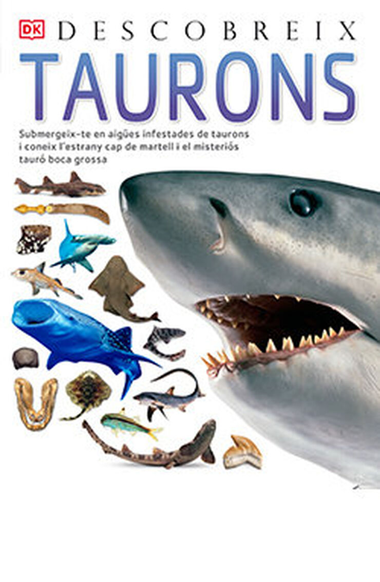 Taurons, Descobreix