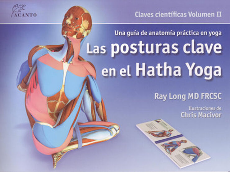 Posturas clave en el Hatha Yoga