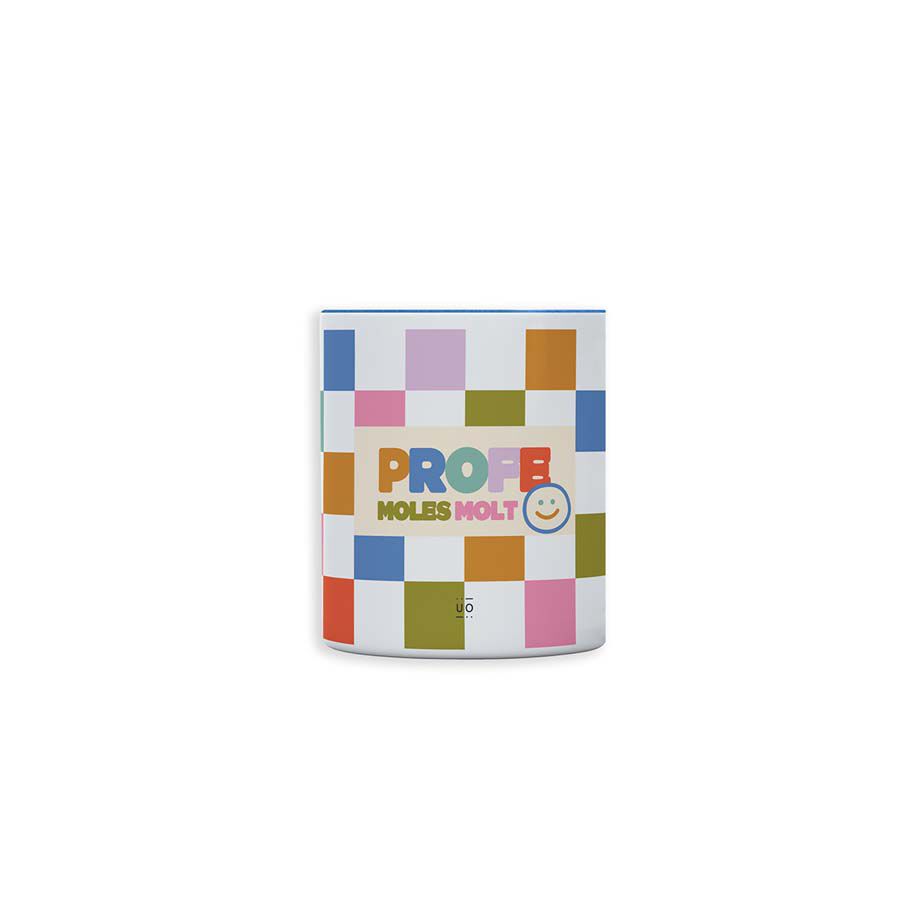 Portallapis Profe Moles Molt