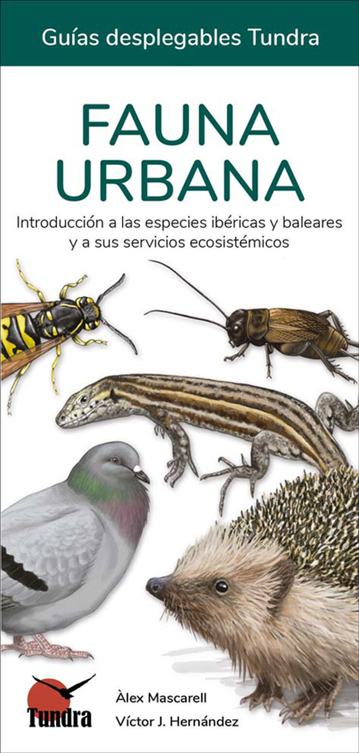 Fauna urbana. Introducción a las especies ibéricas y baleares y a sus servicios ecosistémicos