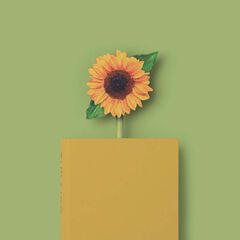 Punto de Libro Girasol pintado