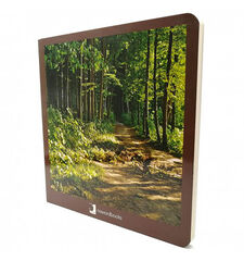 El bosque El bosque