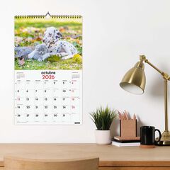 Calendario pared Finocam 25x40 2026 Gosso y Gatos castellano