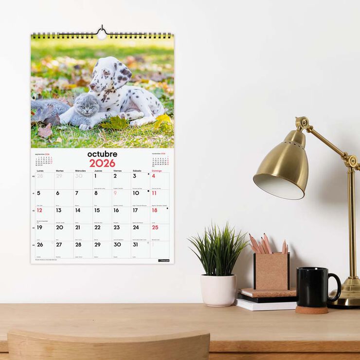 Calendario pared Finocam 25x40 2026 Gosso y Gatos castellano