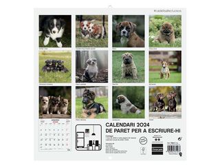 Calendario pared Finocam 30X30 2024 Cachorros cat