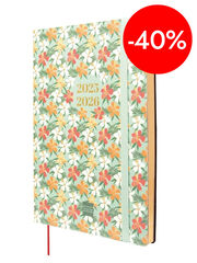 Agenda Finocam 18 meses Mara Y10 sem/vista vertical mult 2025-26 daisy