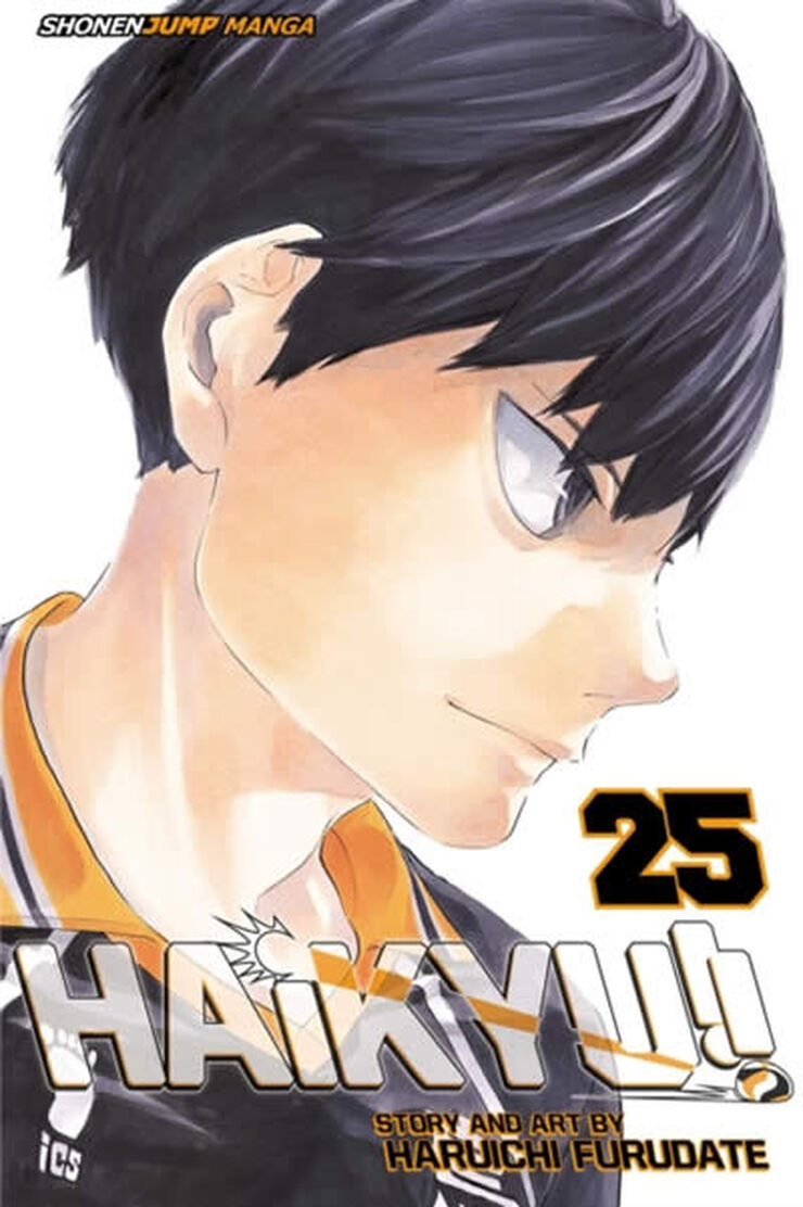 Haikyu!! vol 25