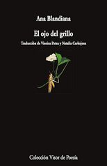 EL ojo del grillo EL ojo del grillo