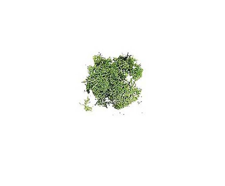 Musgo para maquetas Domus Kits verde