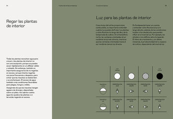 Cultivo de hierbas aromáticas