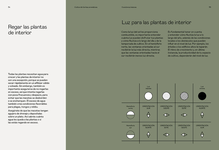 Cultivo de hierbas aromáticas