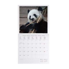 Calendario pared Legami 30X29 2024 Pandastic