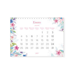 Calendario Takenote Pared 2027 Daniela