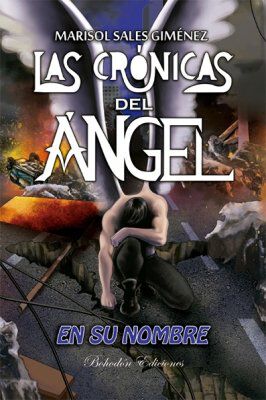 Las cr&oacute;nicas del &aacute;ngel. En su nombre