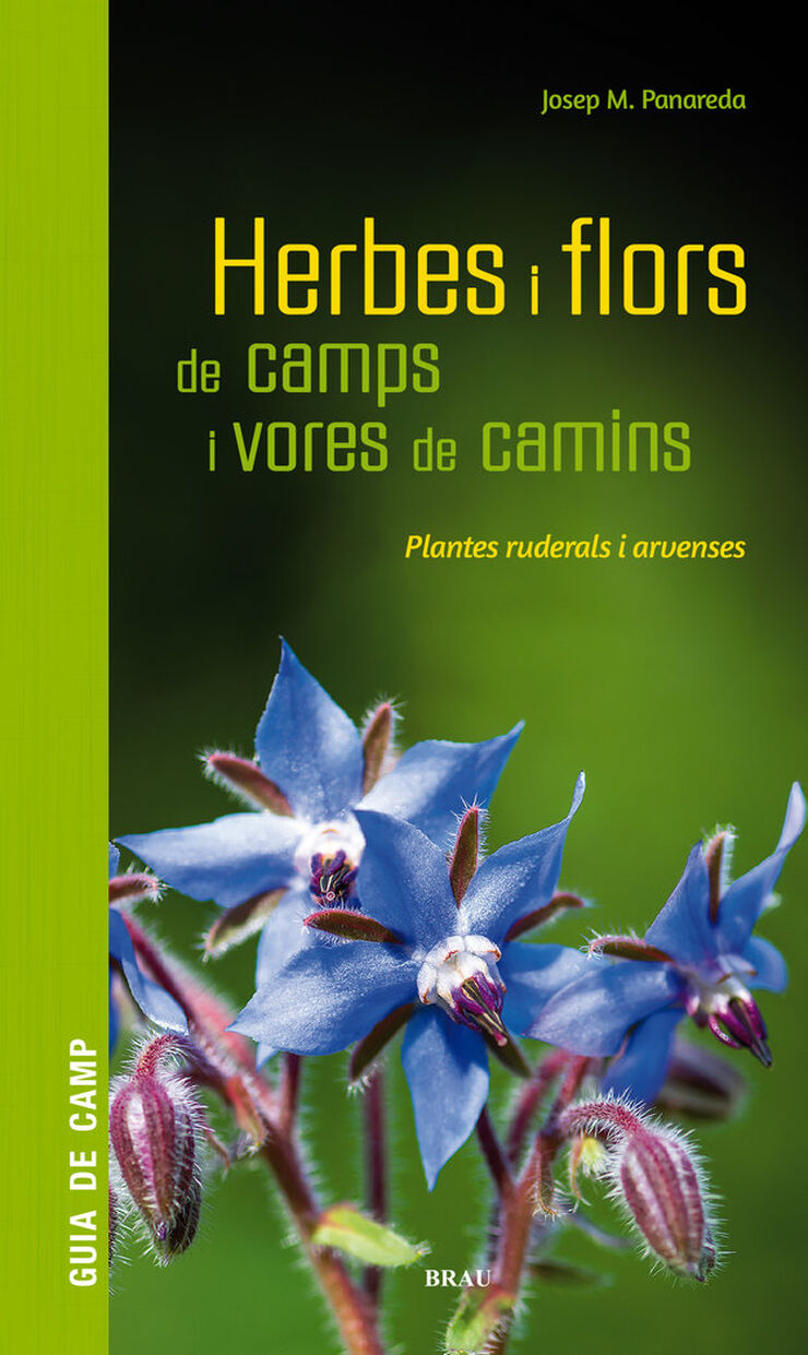 Herbes i flors de camps i vores de camins