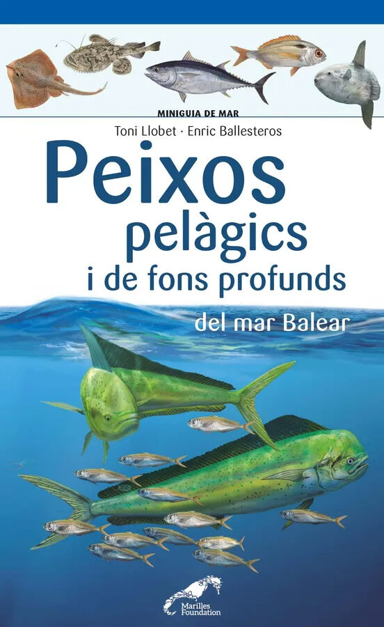 Peixos pel&agrave;gics i de fons profunds del mar Balear