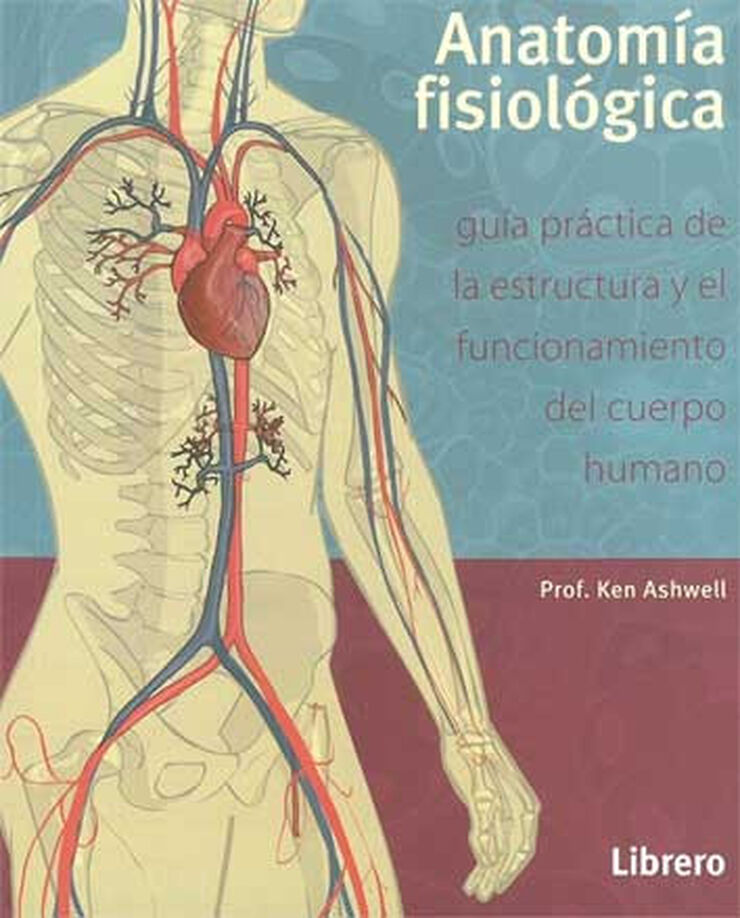 Anatomía fisiológica