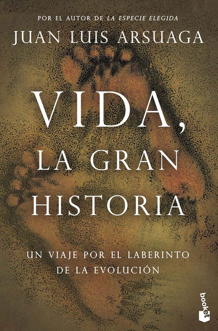 Vida, la gran historia