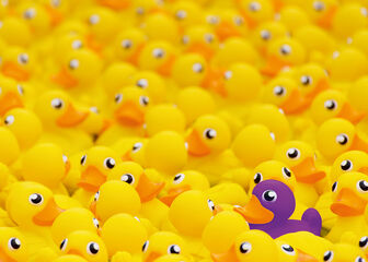 Puzle 1000 piezas Patos de goma