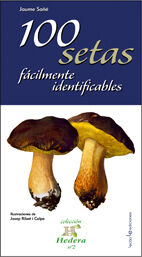 100 setas f&aacute;cilmente identificables