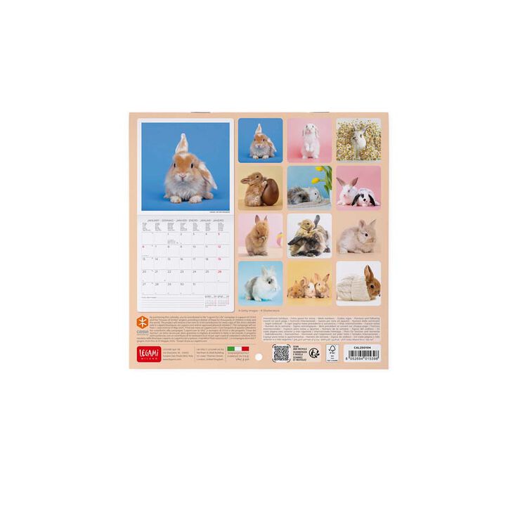 Calendario Pared Legami m/vista 2025 Honey Bunny